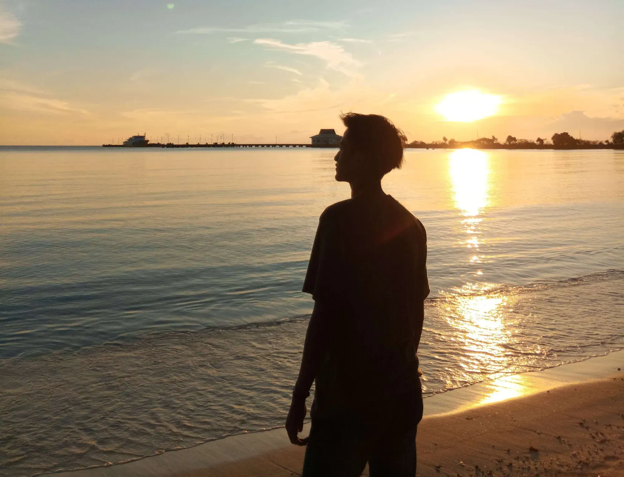 Siluet seseorang berdiri di tepi pantai memandangi matahari terbenam